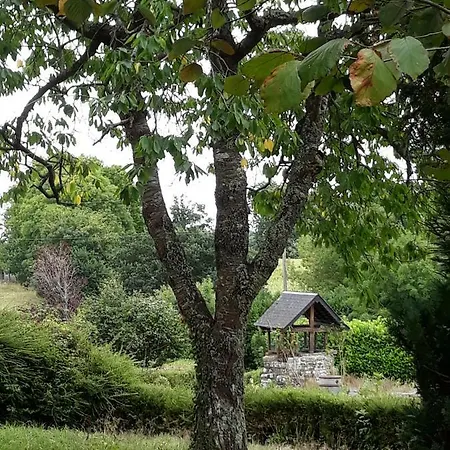 Nature & Espace - Le Puits Des Souhaits