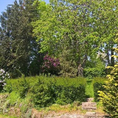 Nature & Espace - Le Puits Des Souhaits