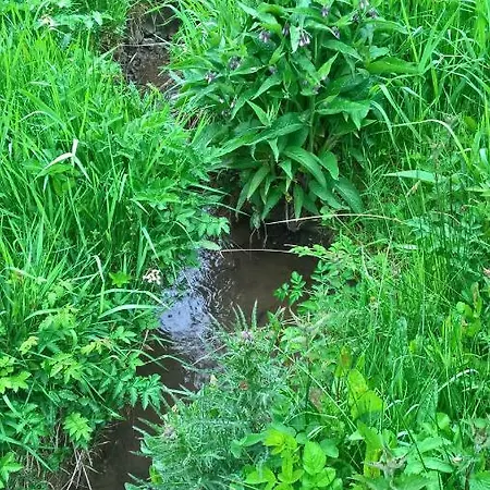 Dom wakacyjny Nature & Espace - Le Puits Des Souhaits *