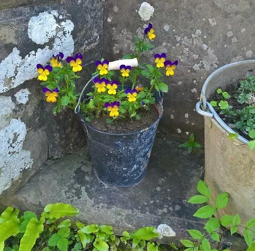 Nature & Espace - Le Puits Des Souhaits