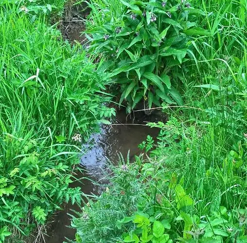 Prázdninový dům Nature & Espace - Le Puits Des Souhaits *